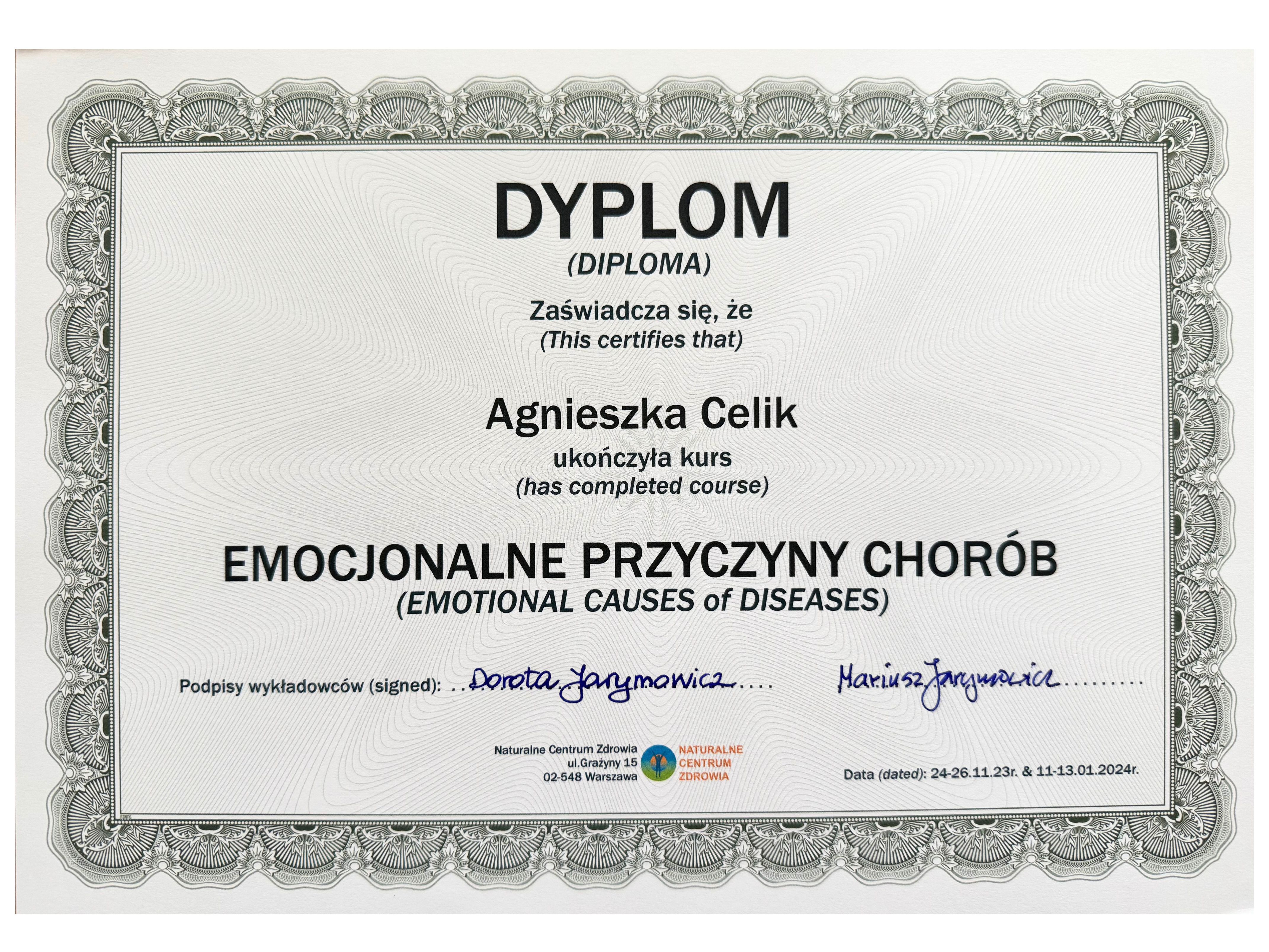 Dyplom EPC ACelik.jpg